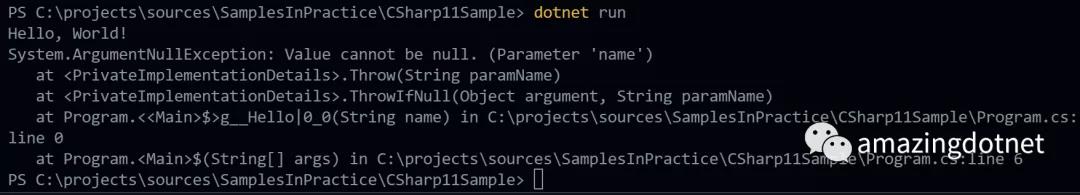 C# 11中的参数null检查