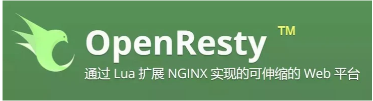 Nginx通过Lua + Redis实现动态封禁IP