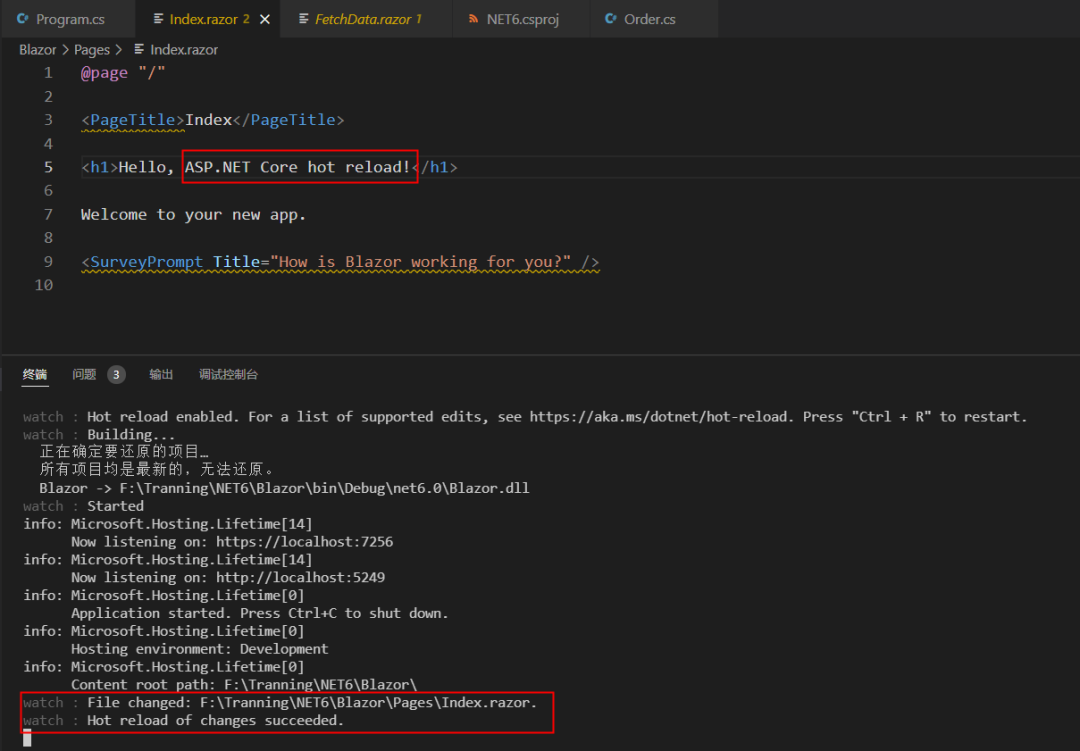 ASP.NET Core 6.0对热重载的支持