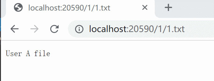 .NET CORE怎么实现动态设置静态文件存储目录？