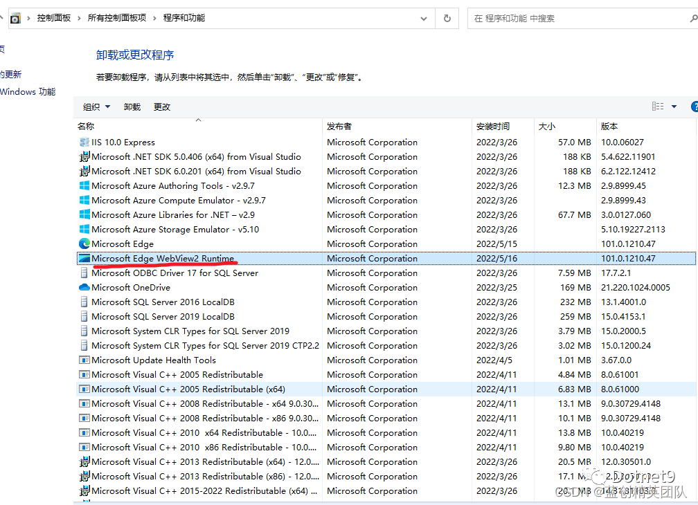 .Net WebView2项目，实现嵌入WEB 页面Chromium内核