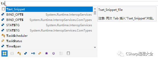 Visual Studio SnippetDesigner使用