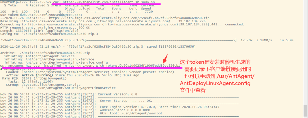 netcore一键部署到linux服务器以服务方式后台运行