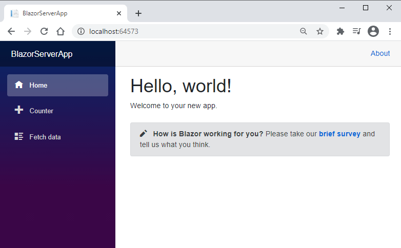 Blazor Server 和 WebAssembly 应用程序入门指南