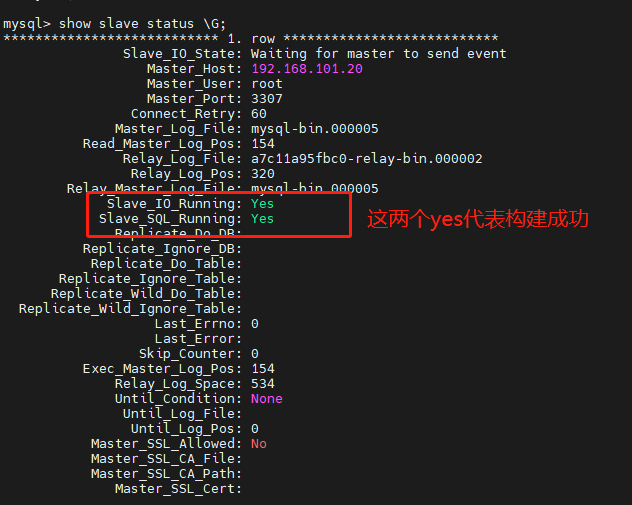 SQL Server、MySQL主从搭建,EF Core读写分离代码实现