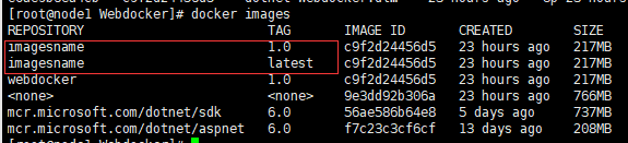 三步实现.NET6部署到Docker