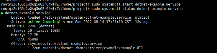 Nginx 在 Linux 上托管 ASP.NET Core 6.0应用