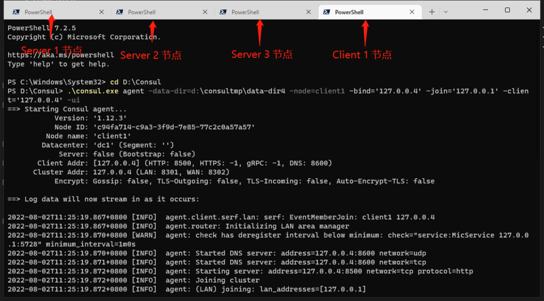 null .NET 微服务实践-快速搭建微服务架构
