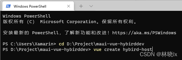 .NET MAUI 中结合 Vue 实现混合开发