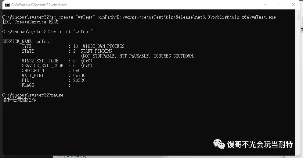踩坑 Windows 服务来宿主 .NET 程序