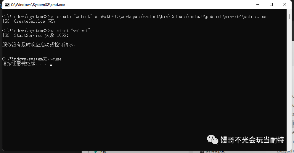 踩坑 Windows 服务来宿主 .NET 程序