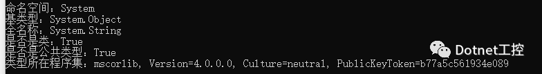 C#反射类Type用法举例