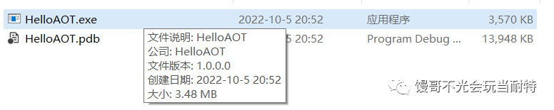 不安装运行时运行 .NET 程序 - NativeAOT