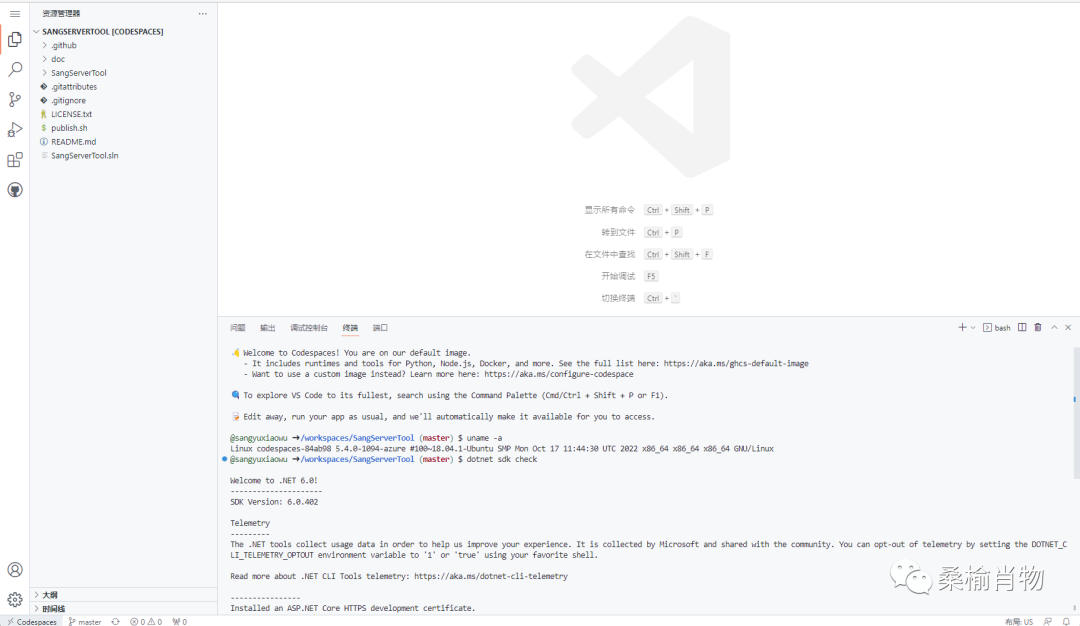 null GitHub Codespaces 安装 .NET 7