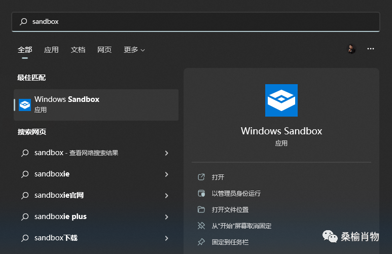 null 想体验.NET7又不想安装体验版,Windows沙盒了解一下