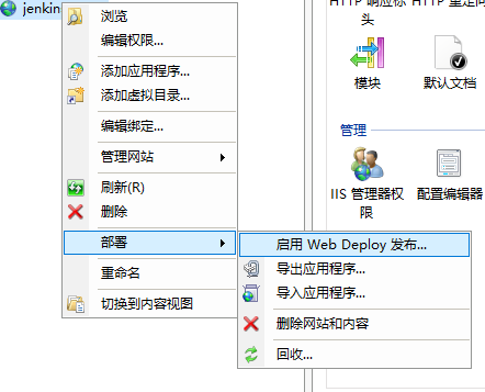 Jenkins 流水线远程部署 .NET Core/Framework 到 IIS