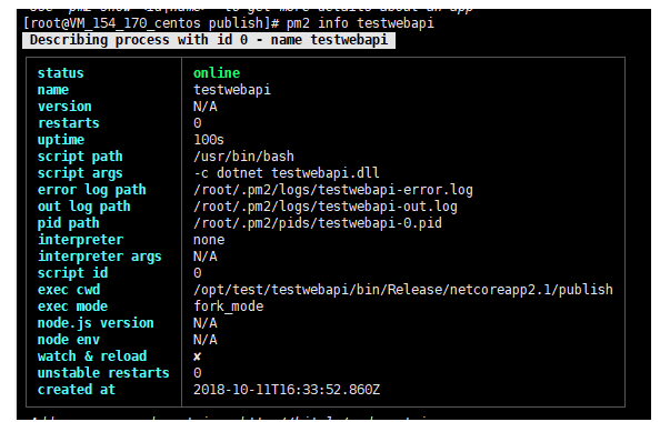 使用pm2守护你的.NET Core应用程序