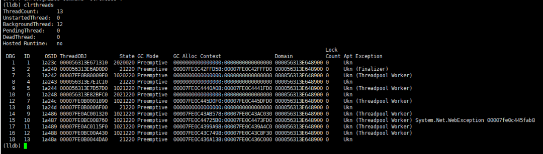 .NET Core 实践篇 linux排查问题实用工具