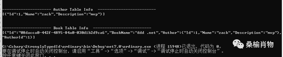 null 在 EF Core 7 中实现强类型 ID