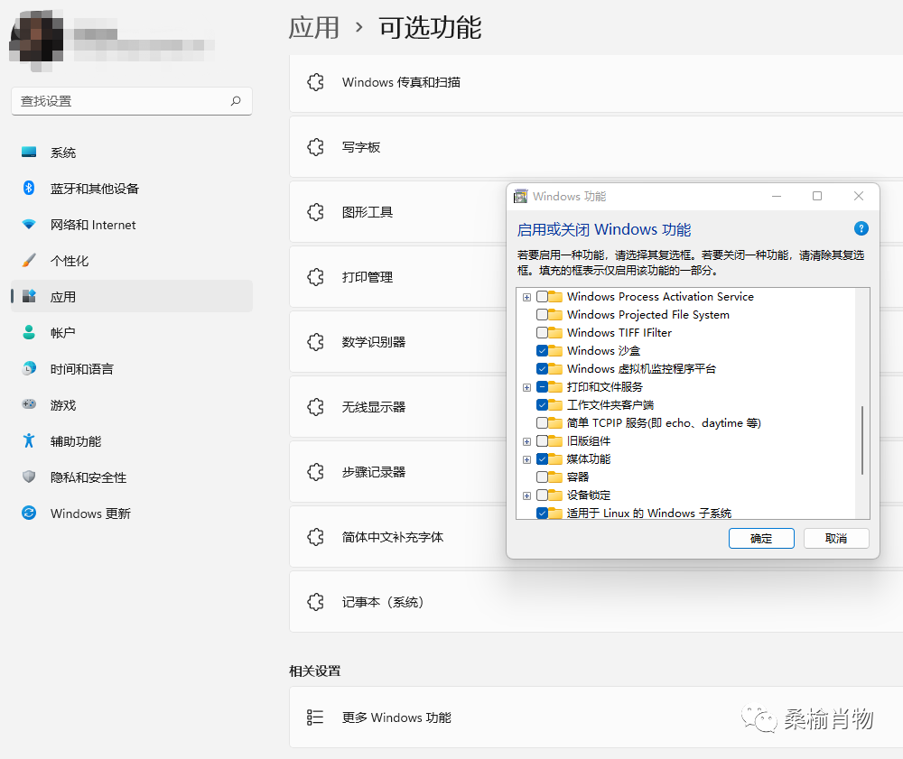 null 想体验.NET7又不想安装体验版,Windows沙盒了解一下