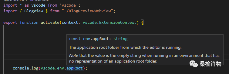 VS Code 扩展开发如何保持用户视觉体验一致