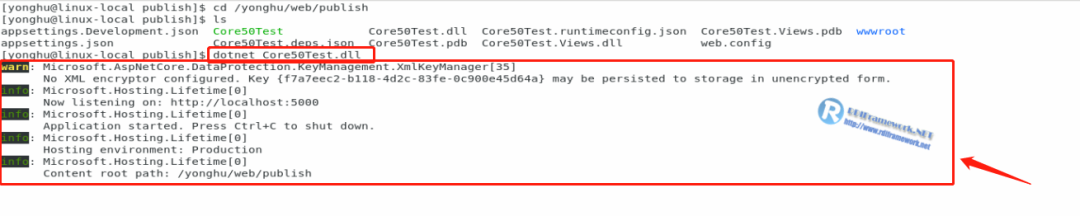 .NET Core 部署到 Linux(CentOS) 最全解决方案（常规篇）