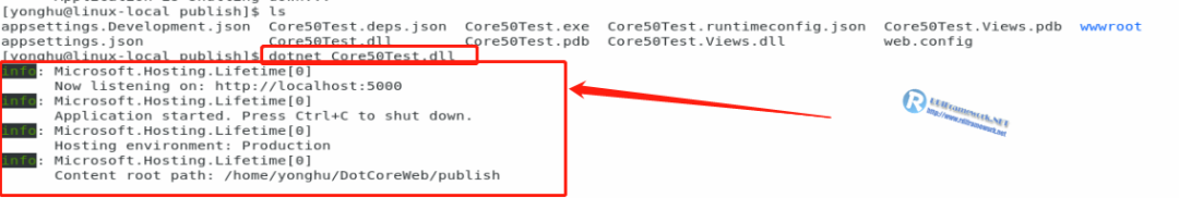 .NET Core 部署到 Linux(CentOS) 最全解决方案（常规篇）