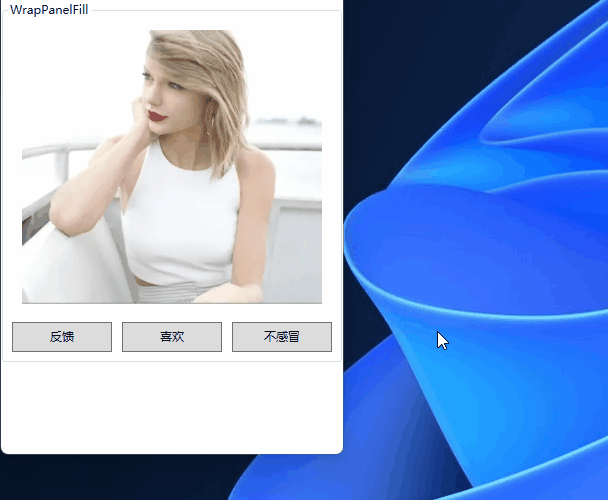 WPF-带填充的 WrapPanel