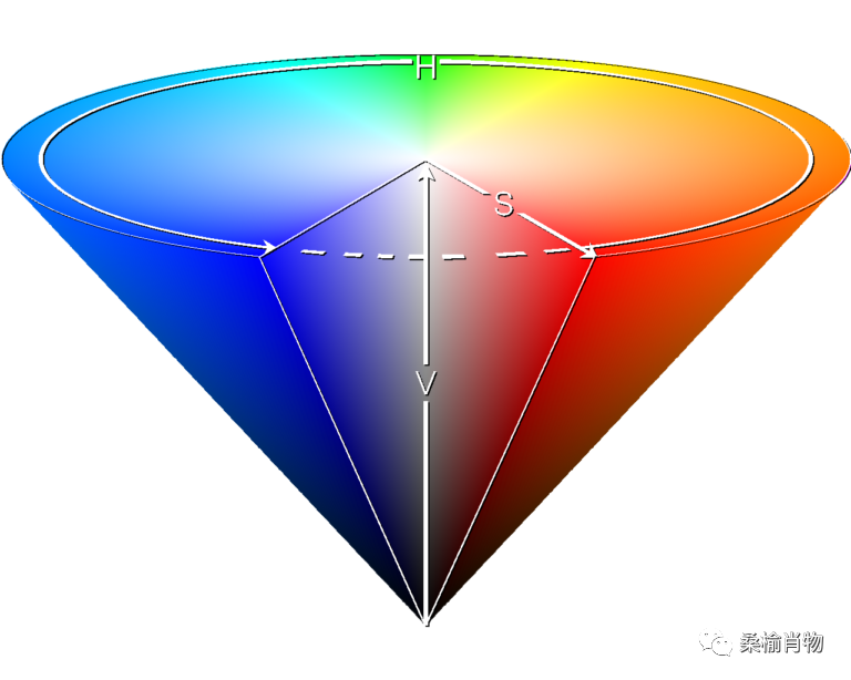 炫酷 RGB 之.NET nanoFramework 点灯大师