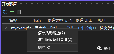 null VS2022开发隧道使用