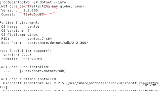 ASP.NET Core部署系列二：发布到CentOS上