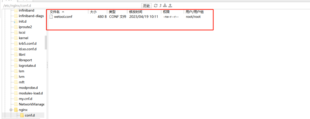 .Net 6.0 部署Linux+Nginx +PM2教程