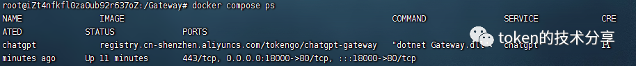 如何不翻墙访问ChatGpt?