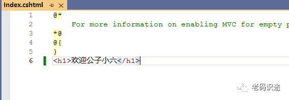 ASP.NET Core MVC 从入门到精通之初窥门径