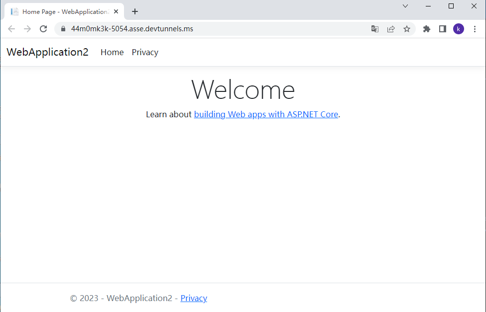 Visual Studio WebHook 隧道功能展示