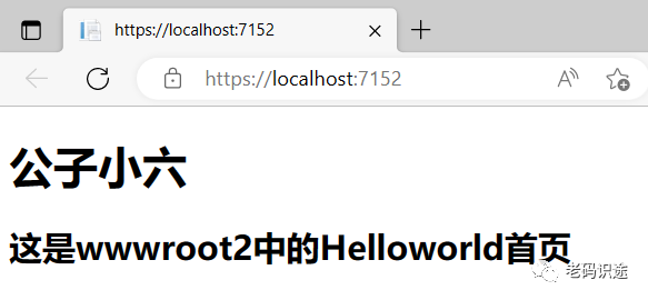 ASP.NET Core MVC 从入门到精通之wwwroot和客户端库