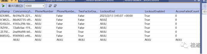 ASP.NET Core Identity 系列十二