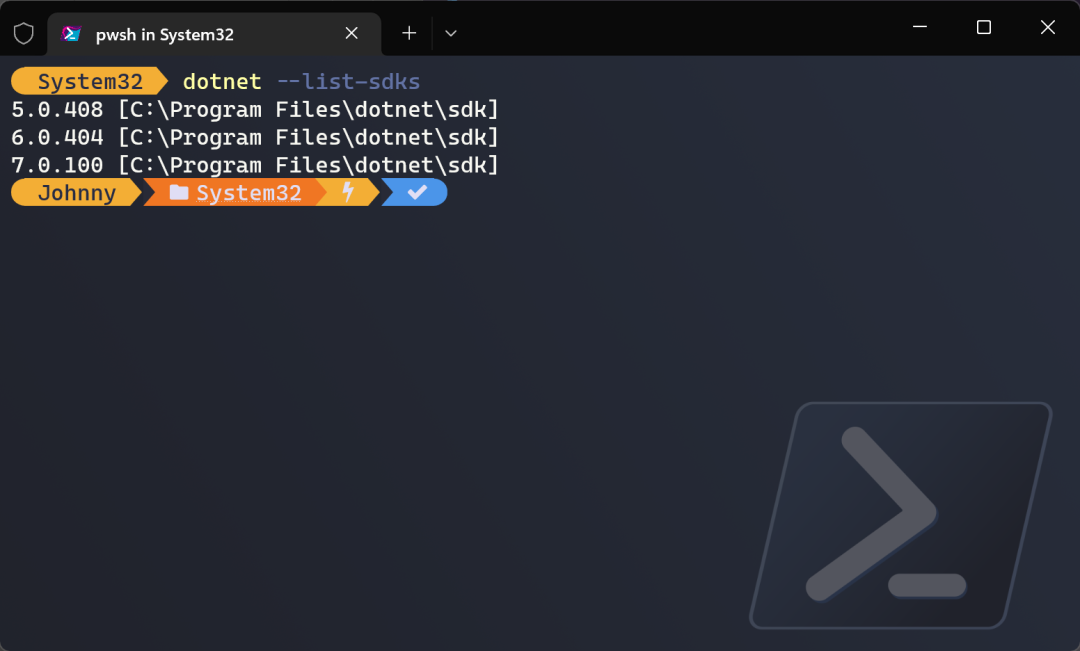 null Dots - 更友好的 .NET SDK 管理器