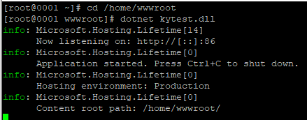 .NET6 在中标麒麟下的安装