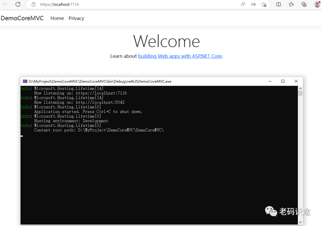 ASP.NET Core MVC 从入门到精通之初窥门径