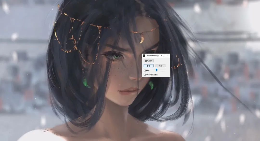 一个C#开发的 Windows 动态桌面开源小工具DreamScene2