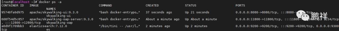 null .Net使用skywalking