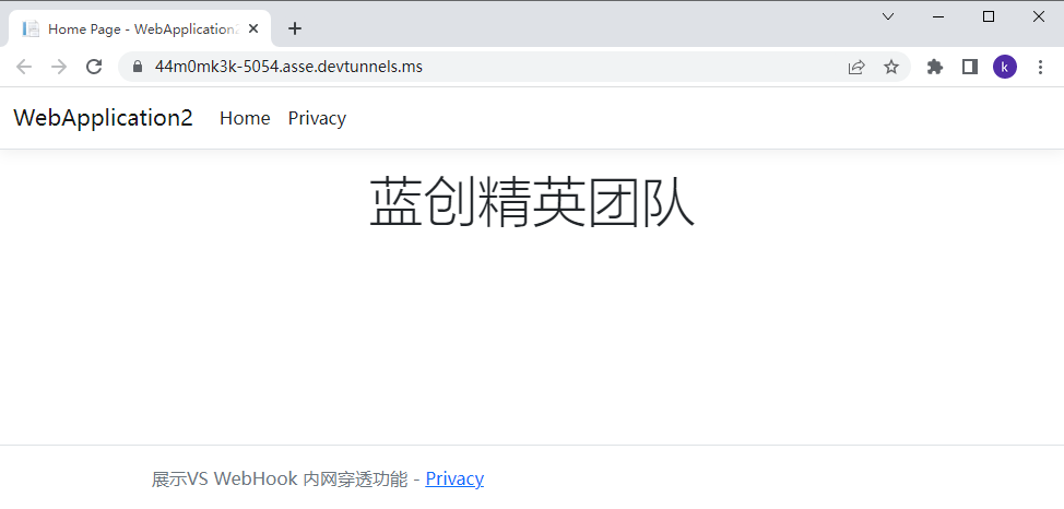 Visual Studio WebHook 隧道功能展示