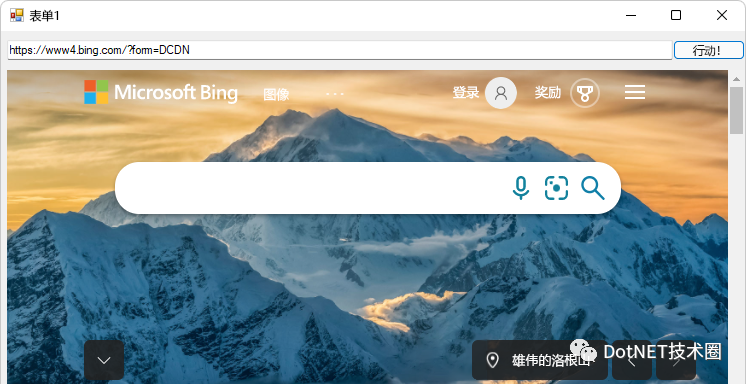 如何在WinForms 应用中使用 WebView2